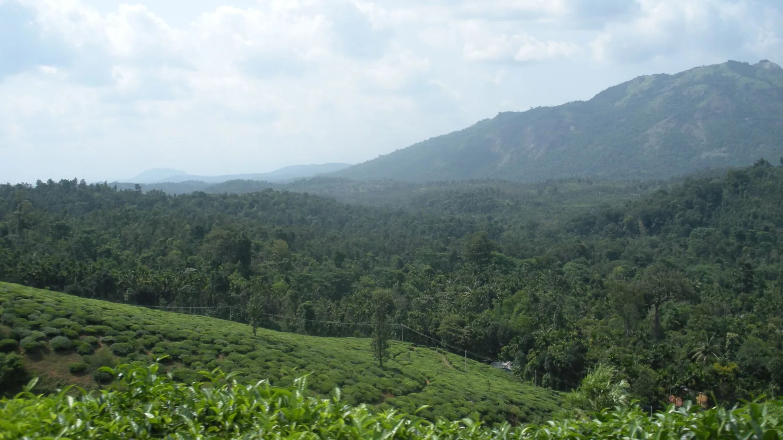 Ananda Matha Ashram landscape